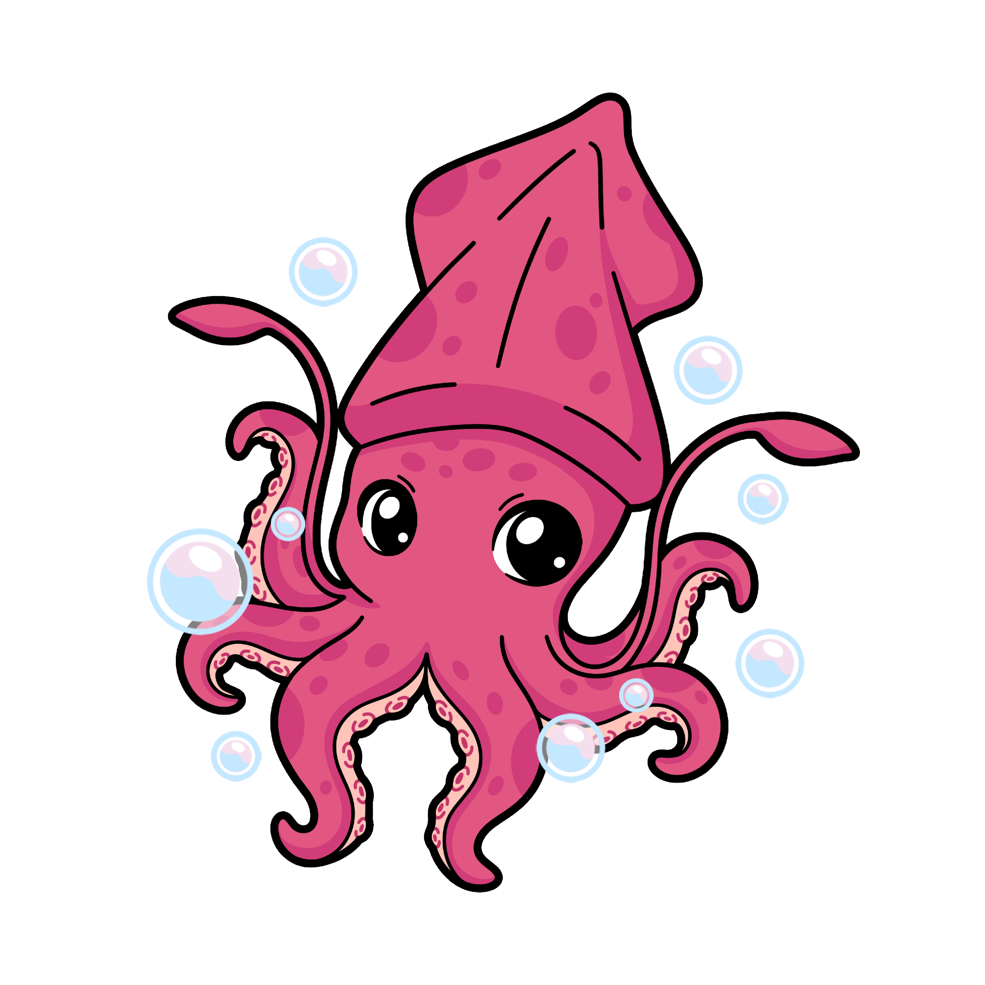 Kraken Rank